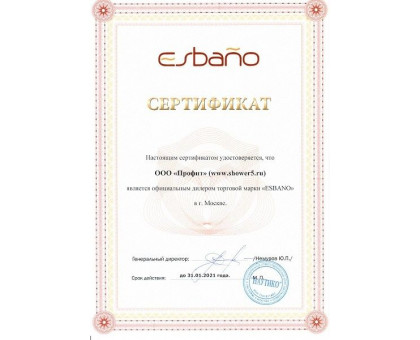 Душевая дверь в нишу ESBANO-120DK 120 см